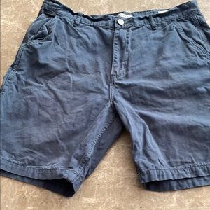 PacSun Blue Flat Front Shorts